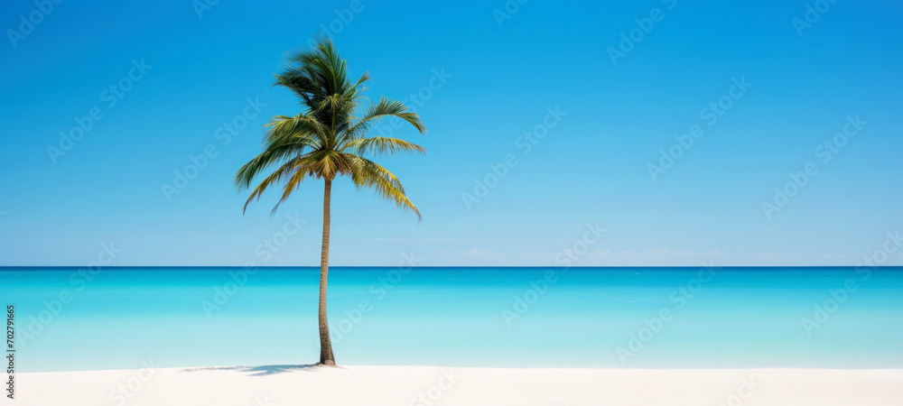 Palm tree on tropical beach with blue sky and white clouds abstract background, Copy space of summer vacation and travel concept.