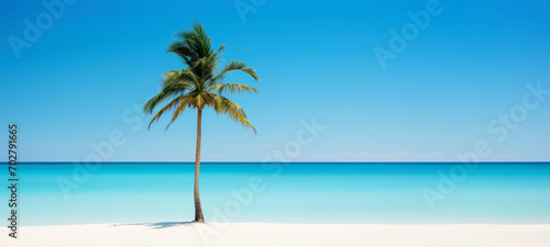 Palm tree on tropical beach with blue sky and white clouds abstract background, Copy space of summer vacation and travel concept.