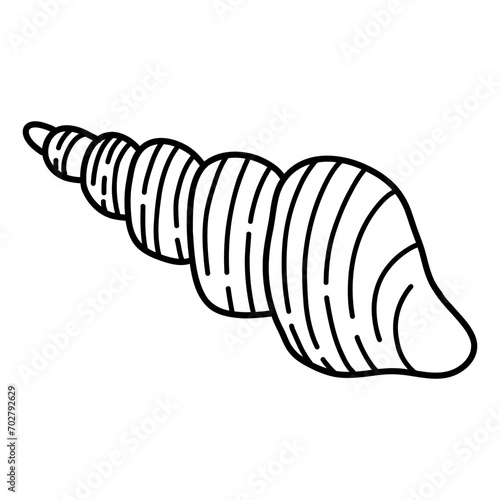 Triton snail Sea Shell isolated on a transparent. Vector illustration in outline style. For cards, logo, decorations, invitations