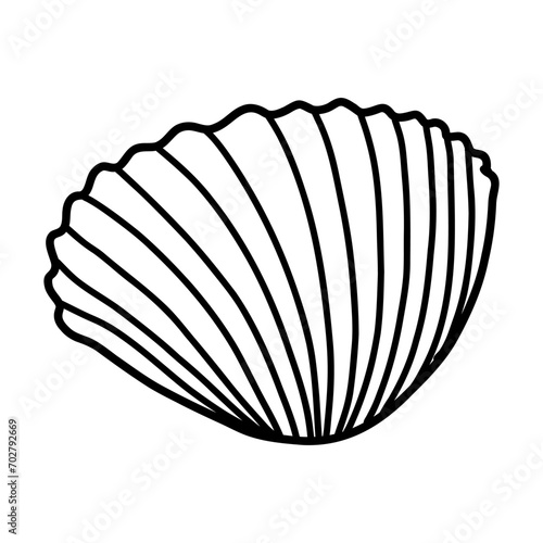 Ark Clam Sea Shell isolated on a transparent. Vector illustration in outline style. For cards, logo, decorations, invitations