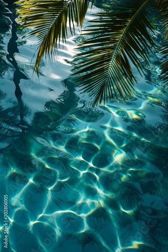 Close up of reflection of palm tree leaves in a swimming pool top view, luxury retreat
