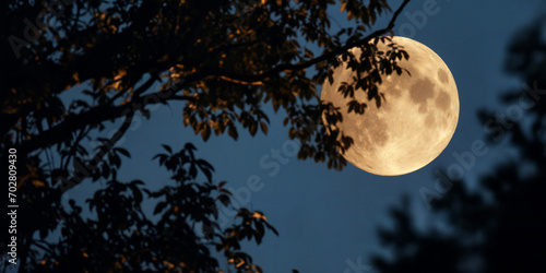 A supermoon behind tree branches. The moon in the night sky. photo