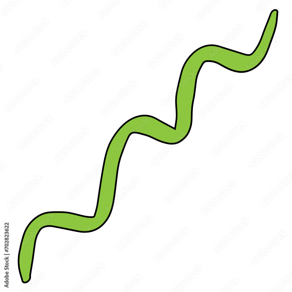 Beautiful Hand Drawn wavy Lines Vector Template Beautiful Hand Drawn wavy Lines Vector Template