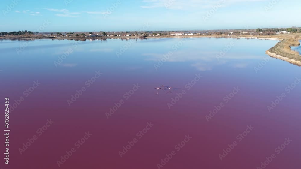 Flamingos in Flight Over Pink Lake Flamingos in Flight Over Pink Lake