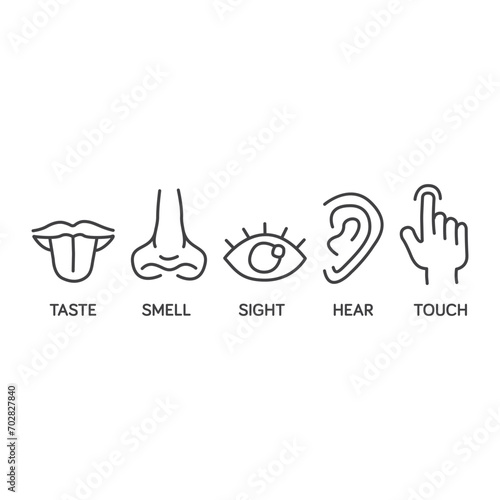 Five senses icon set hand drawn for educational illustrations. outline symbol, simple thin line vector design element template