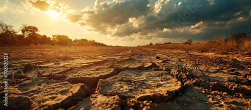 Infertile land burned by the sun famine and poverty concept. with copy space image. Place for adding text or design