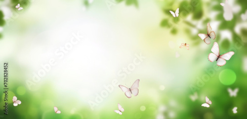 Green spring background with butterflies, bokeh lights and space for text