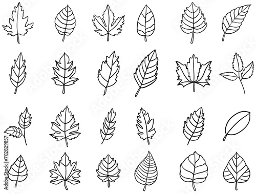 Set of leaves icon line art. Leaves doodle drawing