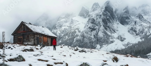Minimalistic winter landsca...