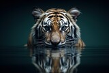 Photo of an animal's reflection in a glass surface. Generative AI