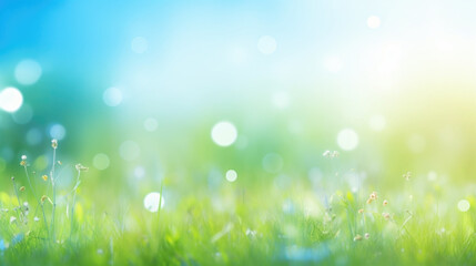 Beautiful sunny spring meadow with green grass and blue sky. Abstract background with light bokeh and space for text.