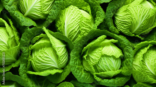 Group of cabbage vegetable pattern wallpaper - ai generative