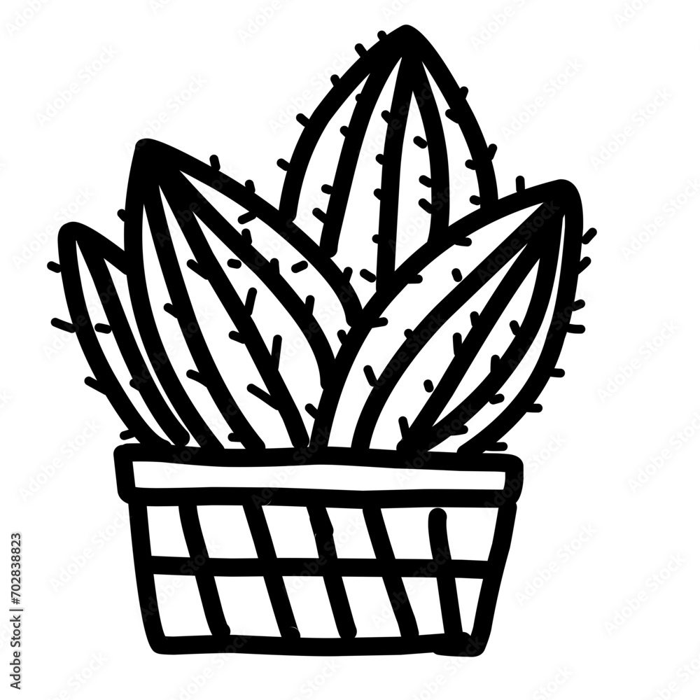 ilustrasi kaktus yang digambar tangan. Ilustrasi Vektor. kaktus dengan