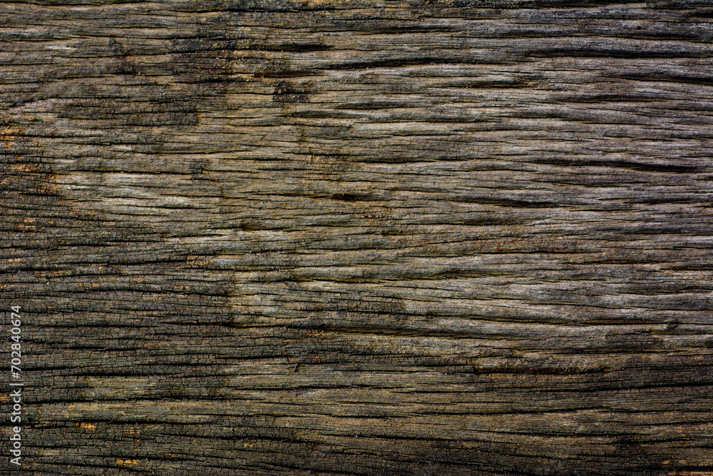 Macro shot of wood plank surface texture. Macro shot of wood plank surface texture.