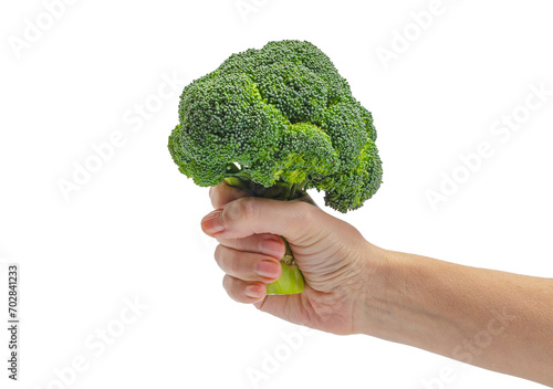 Female hand holding green broccoli isolated on white background. Diet, weight loss, healthy eating.
