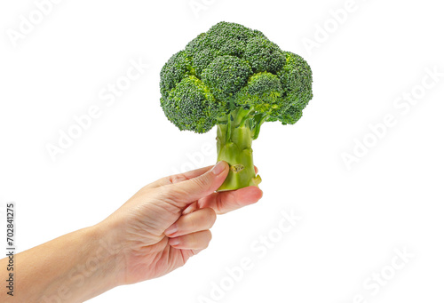 Female fingers holding green broccoli isolated on white background. Vegan nutrition.