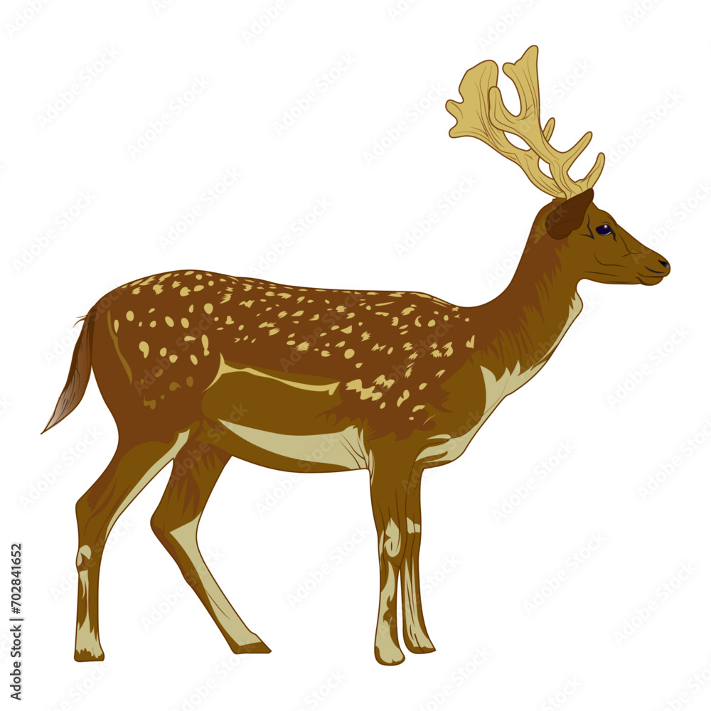 Naklejka premium deer illustration