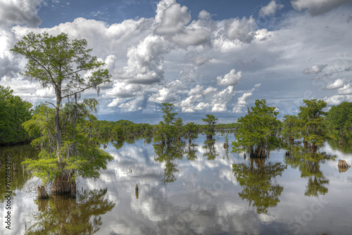 Dead lakes in Wewahitchka Florida
