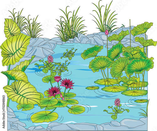 Plants in water vector illustration