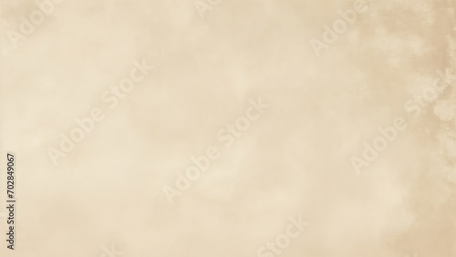 Beige Stone Old Masters printed backdrop photo