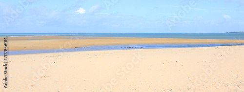 Fototapeta Naklejka Na Ścianę i Meble -  Idyllic sand beach in Ile de Ré, Charente-Maritime, Nouvelle Aquitaine, France