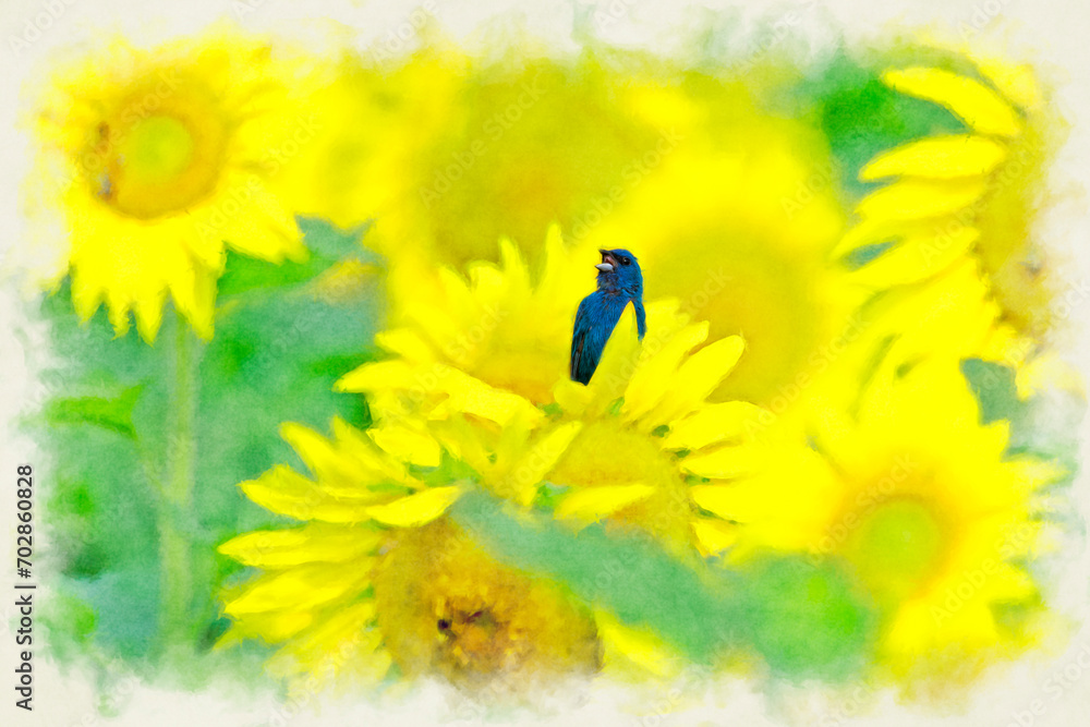 Indigo bunting surrounded by yellow