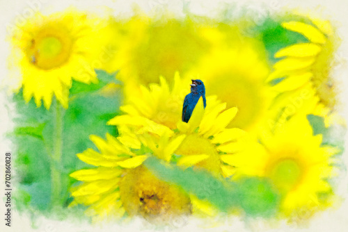 Indigo bunting surrounded by yellow © dfriend150