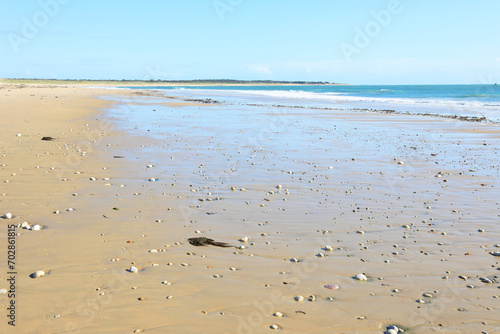 Idyllic sand beach in Ile d'Oleron, Charente-Maritime, Nouvelle-Aquitaine, France