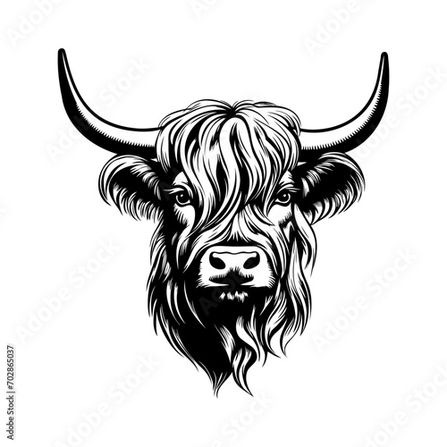 Highland cow head. Farm Animal. Vector illustration.