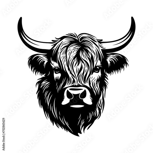 Highland cow head. Farm Animal. Vector illustration.