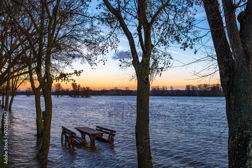 Trees and benches under water on the banks of the Rhine near Oestrich-Winkel/Germany during flooding