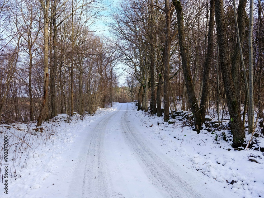 Rural winter road with snow slope and trees Rural winter road with snow slope and trees