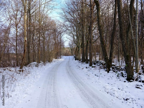 Rural winter road with snow slope and trees