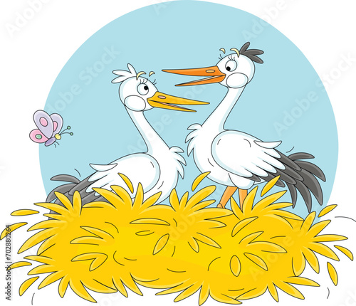 Pair of cute white storks c...