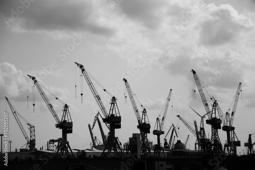 silhouettes of cranes in the harbor