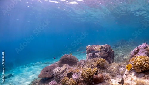 sea deep or ocean underwater with coral reef as a background for