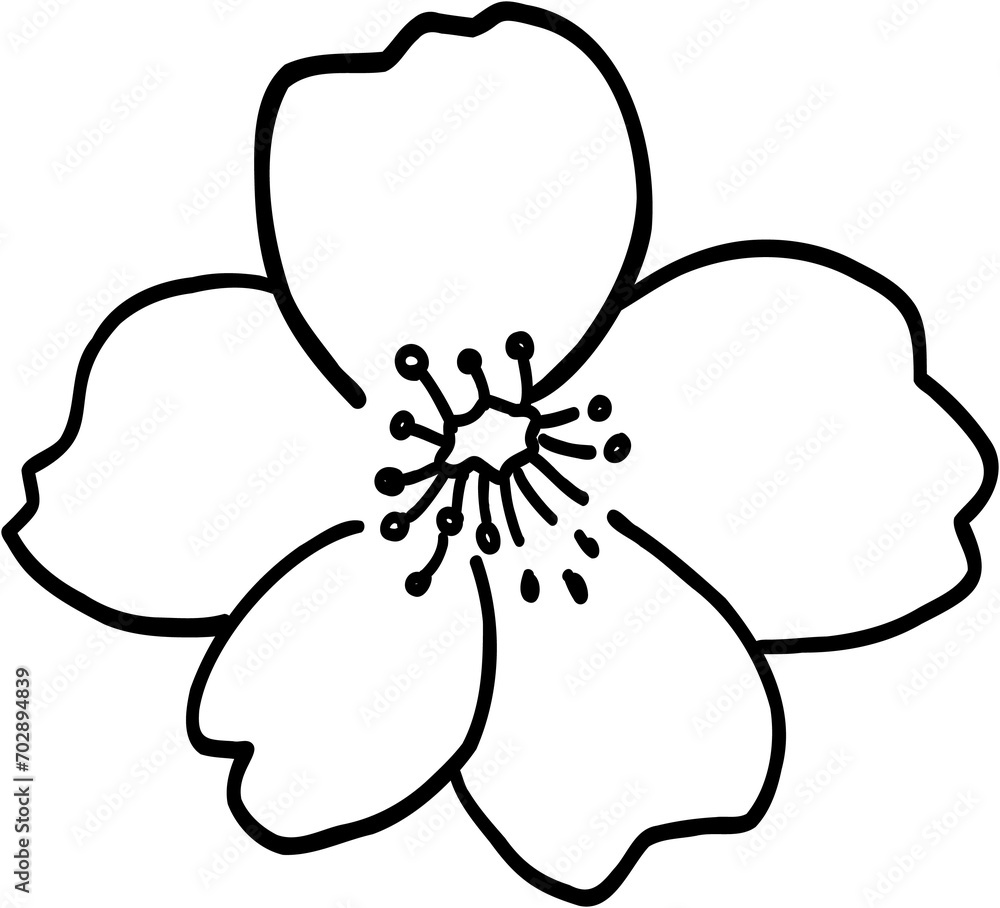 Doodle freehand drawing of cherry blossom flowers. Doodle freehand drawing of cherry blossom flowers.