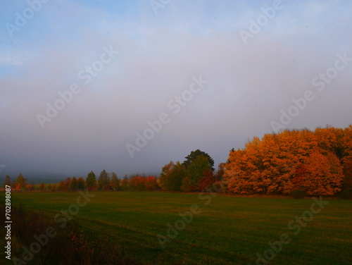 Sunny foggy landscape during autumn day © Jansk