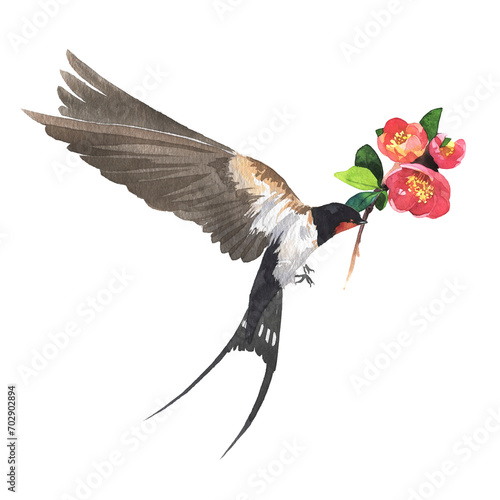 Flying swallow with a flower in its beak. Watercolor asian bird painting. Eastern concept design. Bird with sakura blossom illustration.
