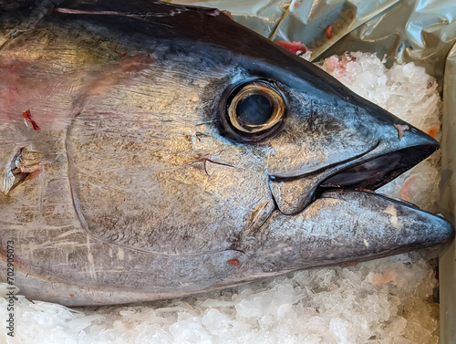 Photography At the fish counter: head of a tuna on ice