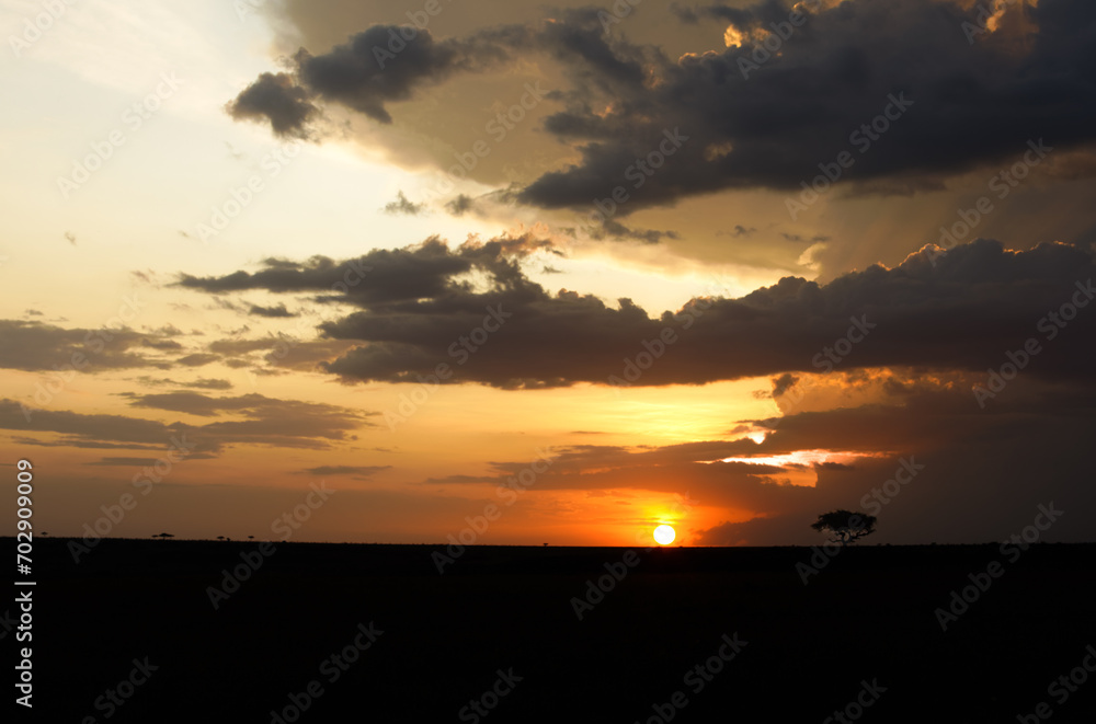 Panorama in africa with sunset.Tree silhouetted against a sun.Dark tree on open field dramatic sunset.Typical african sunset with acacia tree in Masai Mara, Kenya.