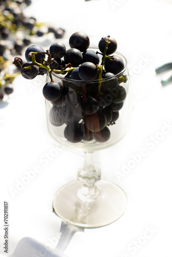 I love the look of these concord grapes all around and some sitting in the wine glass. The deep purple color of these orbs all around. The glass reminds you of sipping some fresh wine.