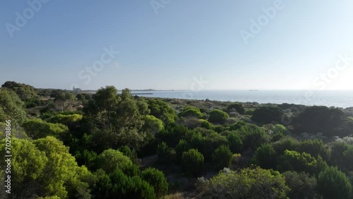 Flying over trees to coogee beach aerial 4k