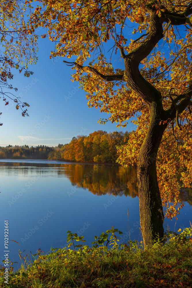 Typical autumn landscape in Trebonsko region in Southern Bohemia, Czech Republic