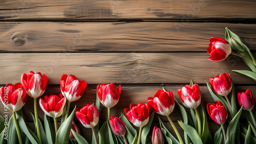 Fresh springtime tulip flowers border with copy space