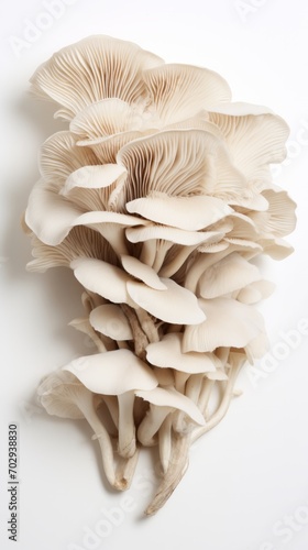 A Pile of Mushrooms on a White Background