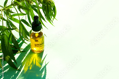 A branch of marijuana and a bottle of cannabis oil. Health medicine concept. Empty space for writing