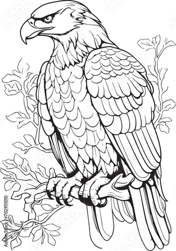 beautiful eagle coloring page