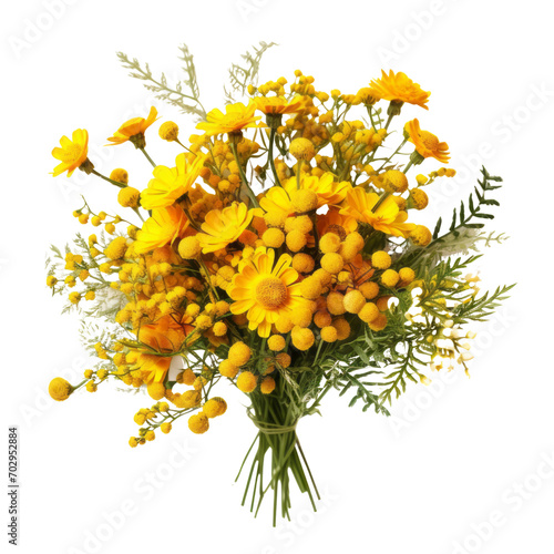 Fototapeta Naklejka Na Ścianę i Meble -  flower - Tansy: Hostile thoughts (3)