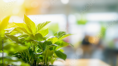 Blur or defocus sustainable food court in shopping mall. Blurred food court interior background with green potted plants. Backdrop for your design